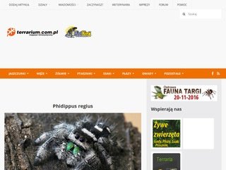 Podgląd terrarium.com.pl