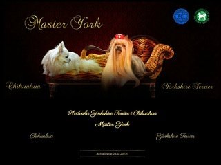 Podgląd masteryork.pl