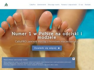 Miniaturka modzele.pl