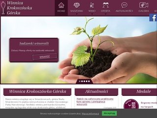 Podgląd krokoszowka-gorska.pl