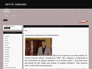 Podgląd antyki.gniezno.pl