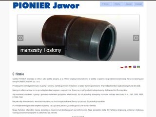 Miniaturka pionier-jawor.pl