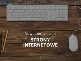 Miniaturka dynamostudio.pl