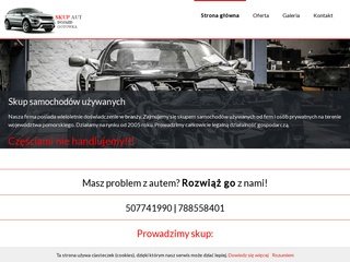 Podgląd skupaut-gdansk.com
