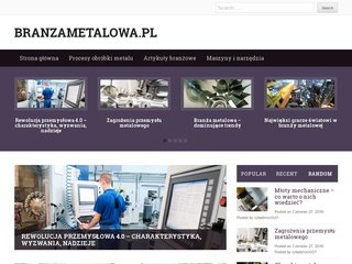 Podgląd branzametalowa.pl