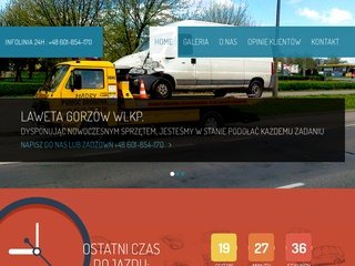 Miniaturka madrygorzow.pl