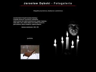 Miniaturka jarek-debski.com