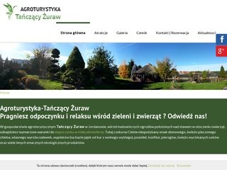 Podgląd tanczacyzuraw.pl