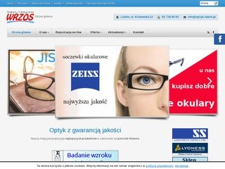 Podgląd optyk.lublin.pl