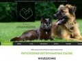 Podgląd przychodniazalesie.pl