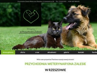 Podgląd przychodniazalesie.pl