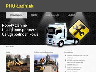 Podgląd robotyziemneladniak.pl