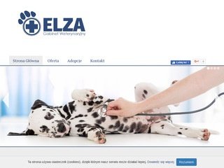 Podgląd weterynarz-swidnik.pl