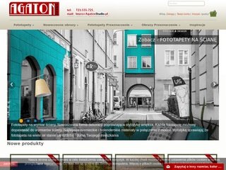 Podgląd agatonstudio.pl