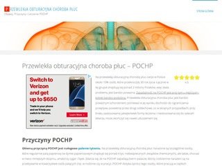Miniaturka pochp.net.pl
