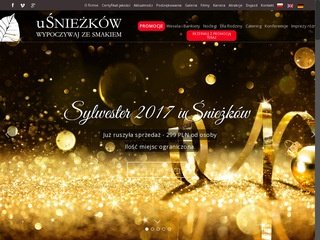 Podgląd usniezkow.pl