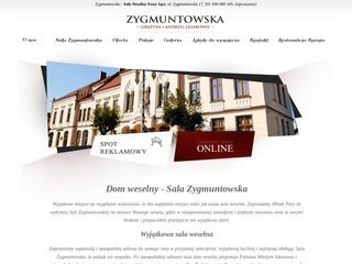 Podgląd zygmuntowska.pl