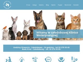 Podgląd wetgliwice.pl