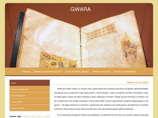 Podgląd gwo.slask.pl
