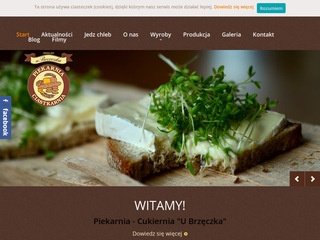 Podgląd brzeczek.com.pl