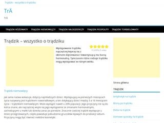 Podgląd beztradziku.pl