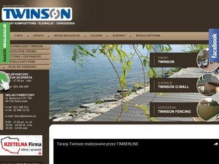 Podgląd twinson.pl