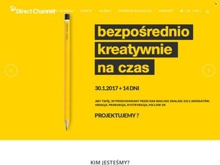 Podgląd directchannel.pl