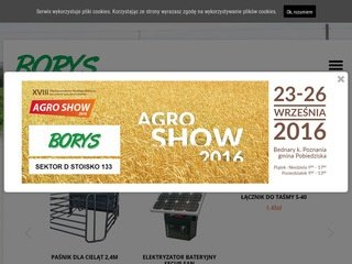 Podgląd pwborys.pl