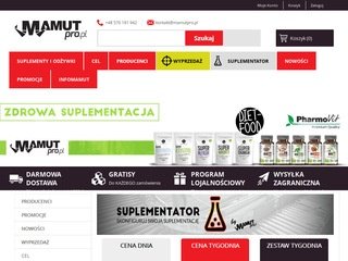 Miniaturka mamutpro.pl