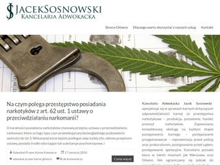 Podgląd prawo-karne-adwokat.pl