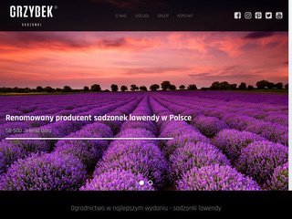 Miniaturka sadzonkilawendy.pl