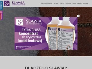 Miniaturka slawia.pl