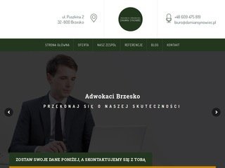 Miniaturka damiansynowiec.pl