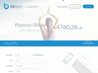 Podgląd bitpayo.com