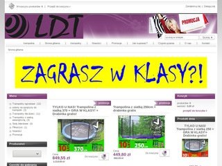 Podgląd ldtpolska.pl