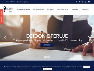 Podgląd https://egidon.pl