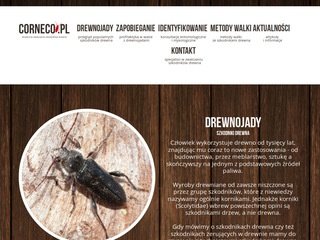 Podgląd corneco.pl