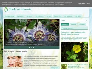 Podgląd ziola-na-zdrowie.pl