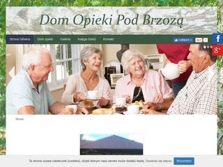 Podgląd domopiekipodbrzoza.pl