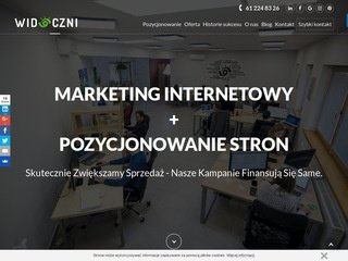 Podgląd widoczni.com