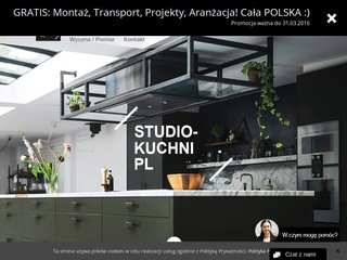 Podgląd studio-kuchni.eu