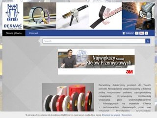 Podgląd bernas.pl