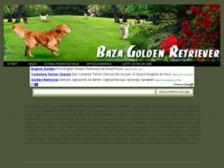 Miniaturka baza.goldenretriever.pl