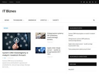 Podgląd it-biznes.com