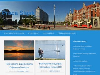 Podgląd praca-slaskie.pl