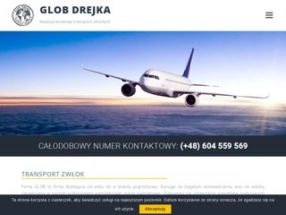 Podgląd https://drejka.pl/