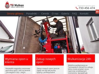 Podgląd tg-wulkan.pl