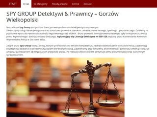 Miniaturka spygroup.pl