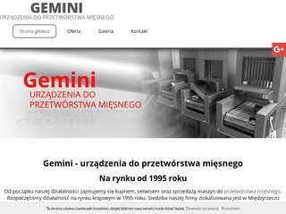 Miniaturka gemini-serwis.pl