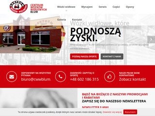 Podgląd cwwblum.com